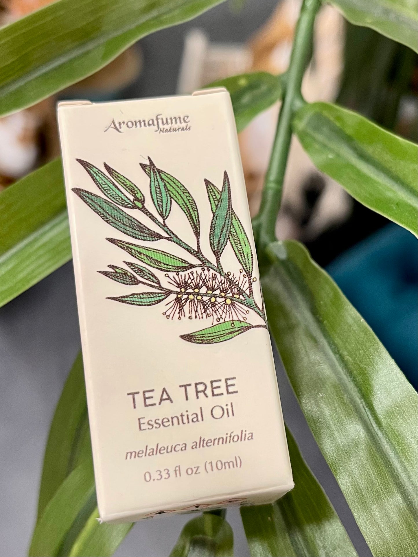 Olio essenziale di Tea tree