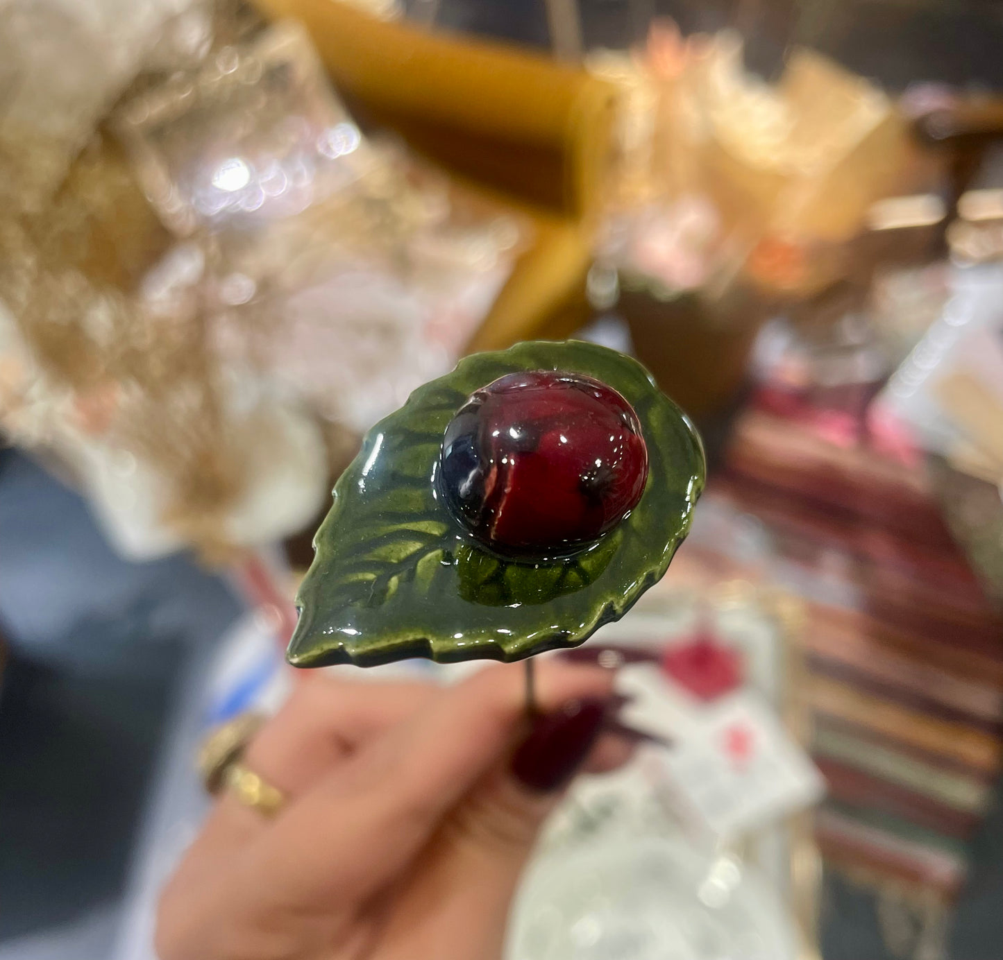 Coccinella portafortuna