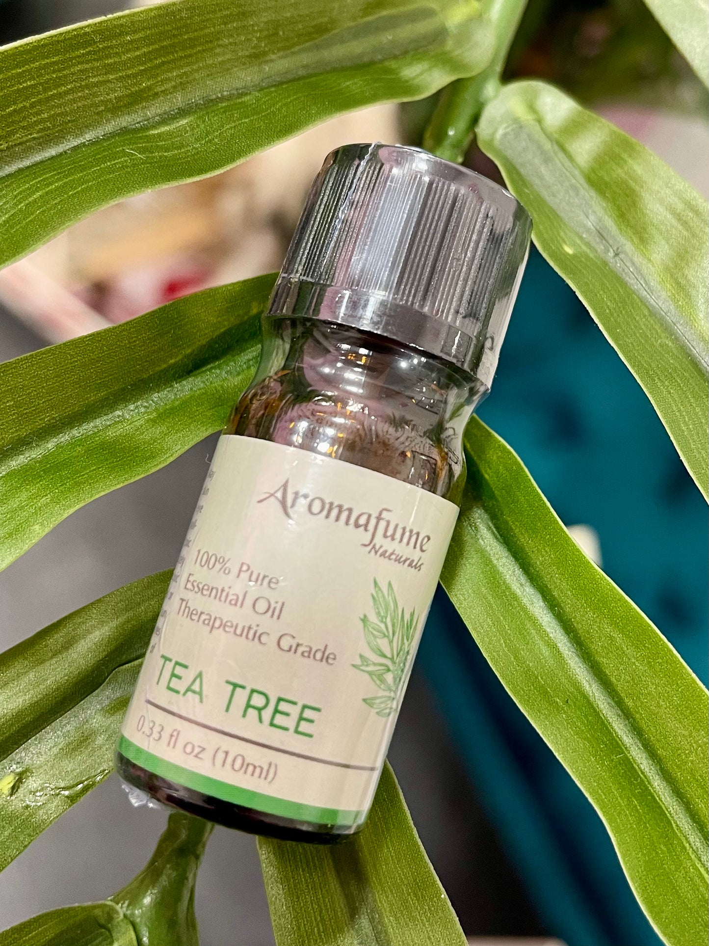 Olio essenziale di Tea tree