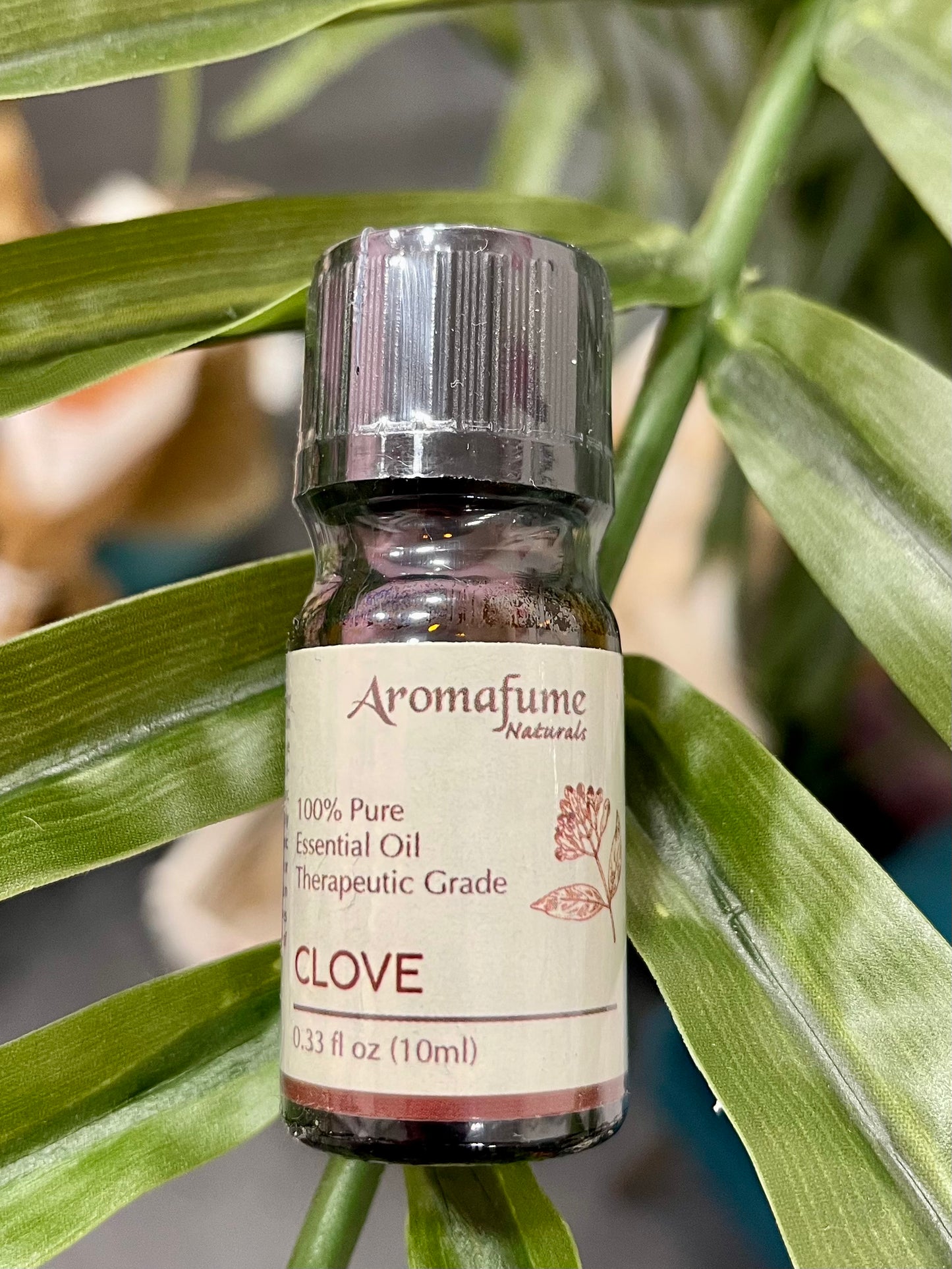 Olio essenziale di Chiodi di Garofano