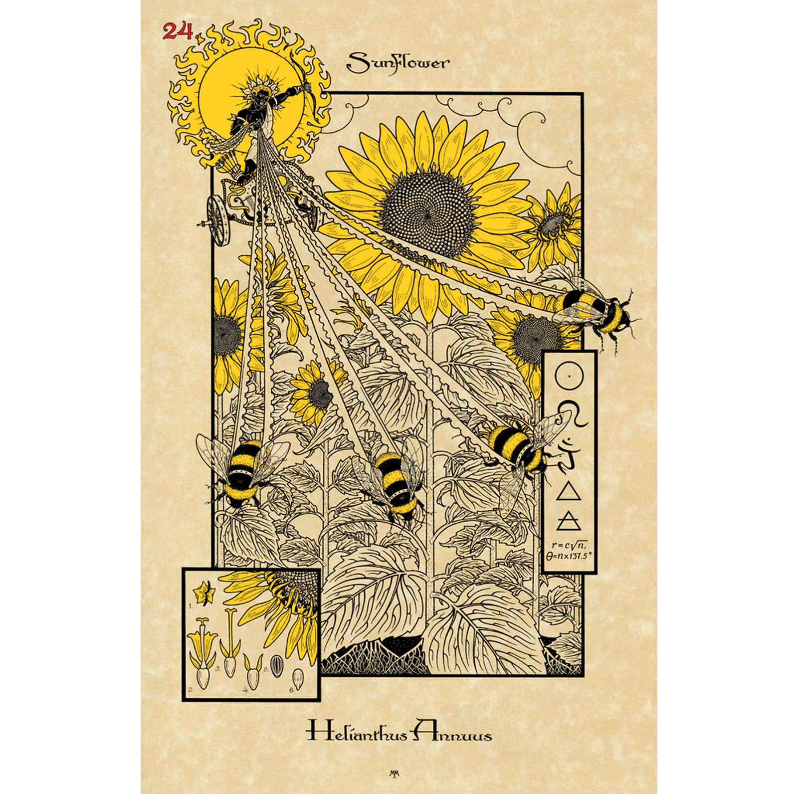 Le magiche carte botaniche dell'oracolo Lo Scarabeo