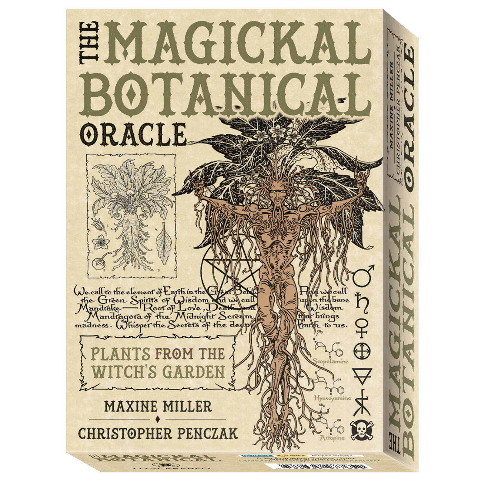Le magiche carte botaniche dell'oracolo Lo Scarabeo