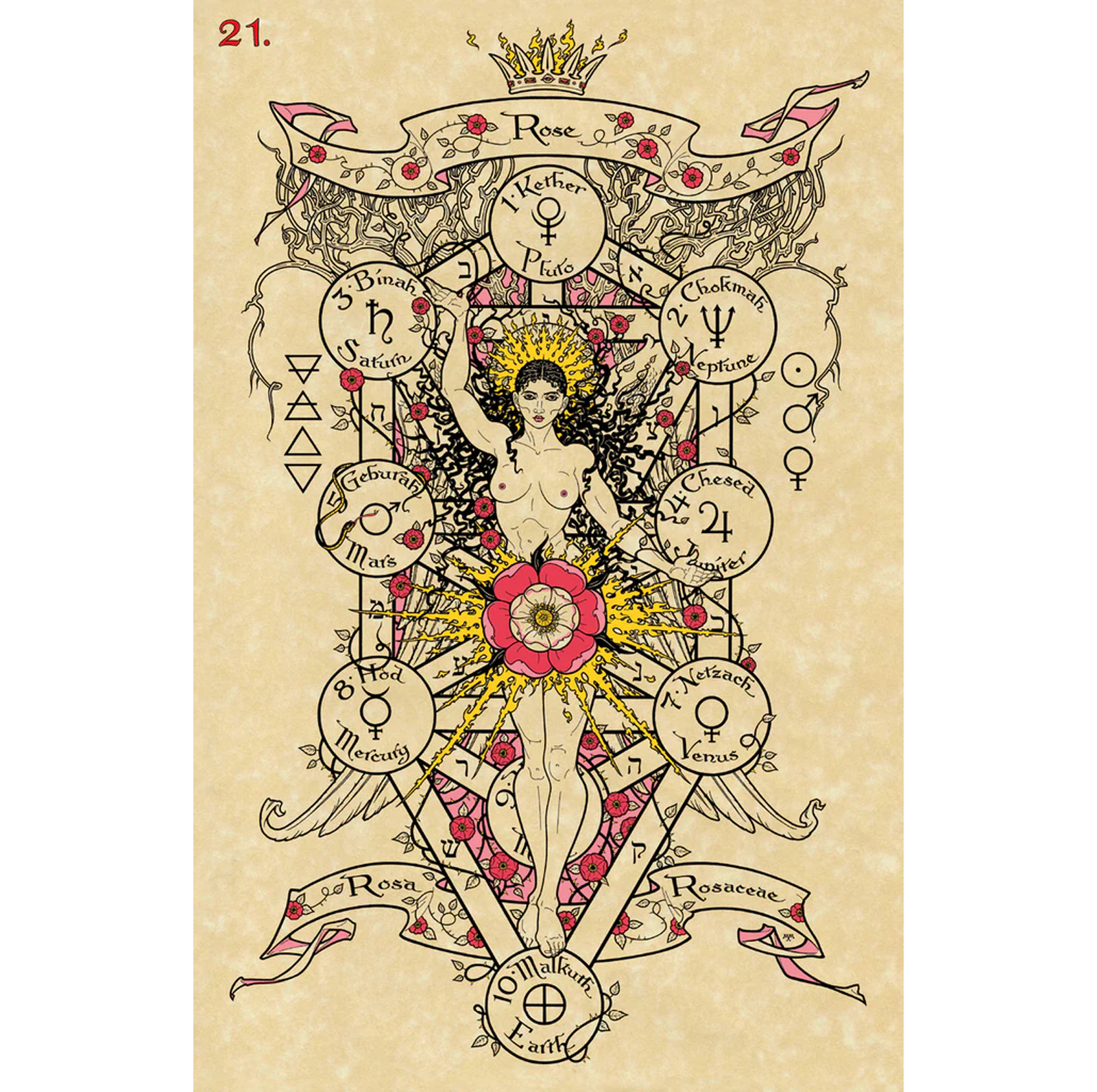 Le magiche carte botaniche dell'oracolo Lo Scarabeo