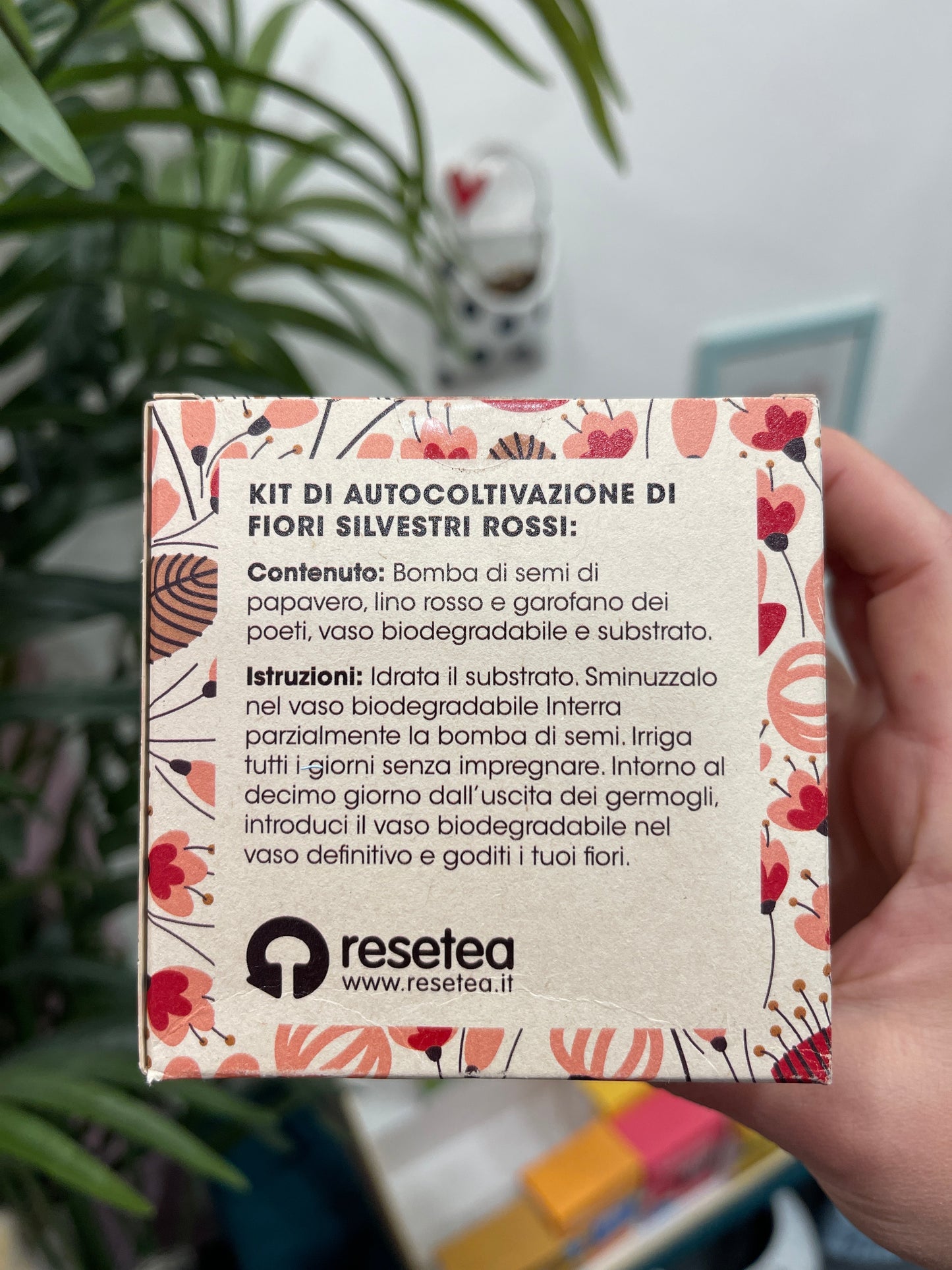 "Dillo con i fiori"- Kit di autocoltivazione