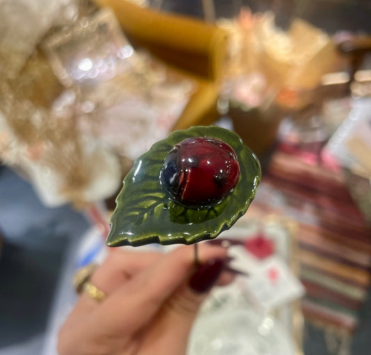 Coccinella portafortuna