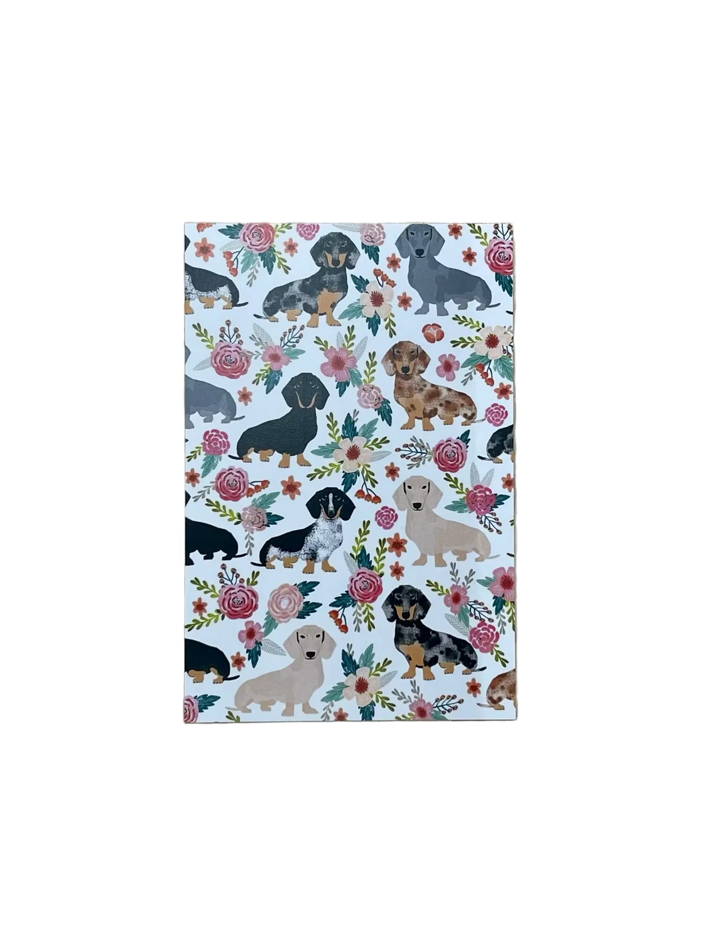 Cartoline Dachshund